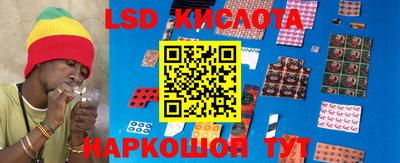 шишки Кимры