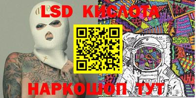 шишки Кимры