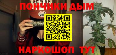 шишки Кимры