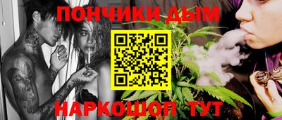 шишки Кимры