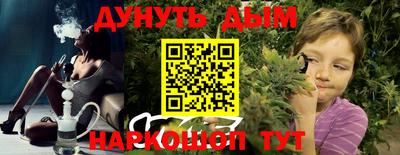 шишки Кимры