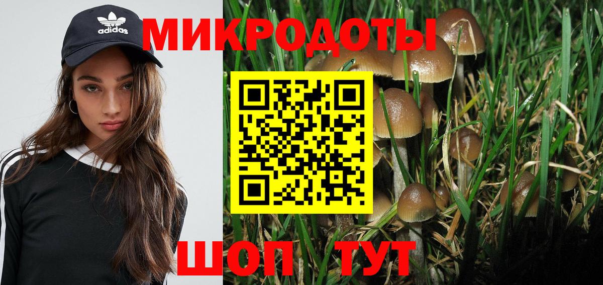 Котлас  Галлюциногенные грибы мицелий  Вход с VPN 